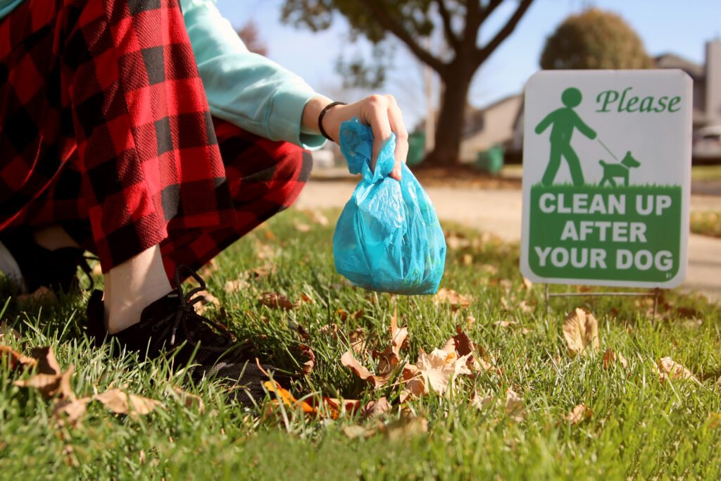 person cleaning up dog poop outside